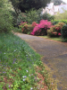 Click here to view the 'Nansawsan Gardens April 2019' album