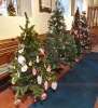 Ladock School Christmas Trees