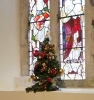 The Golden Tree by Lizzie and Morwenna