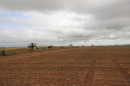 Tractor Escort